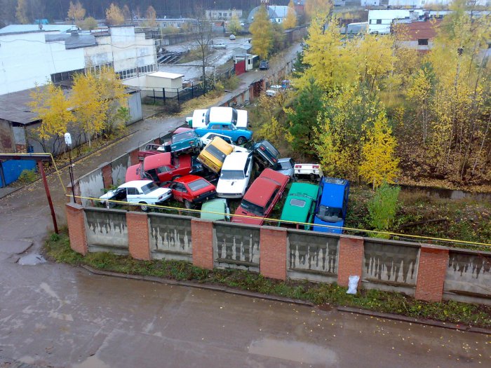 Забавные картинки