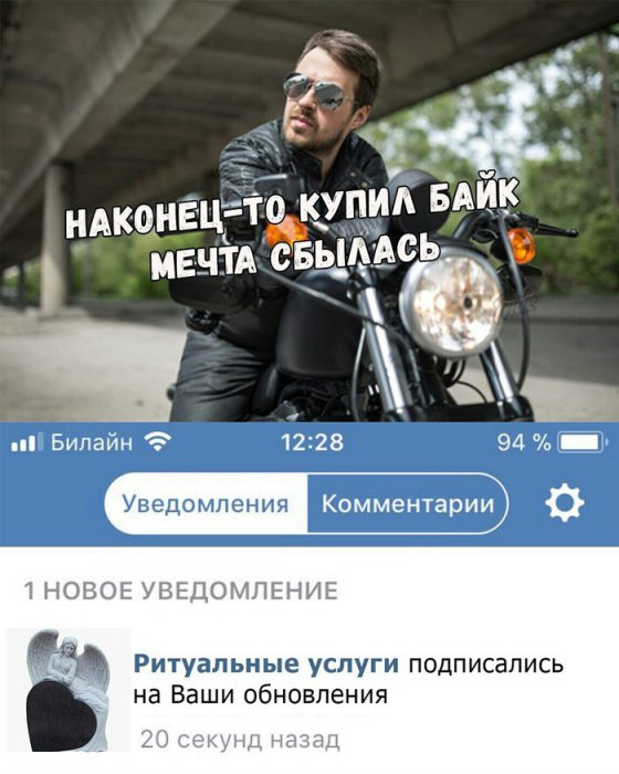 Забавные картинки