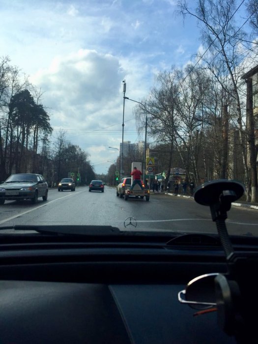 Забавные картинки