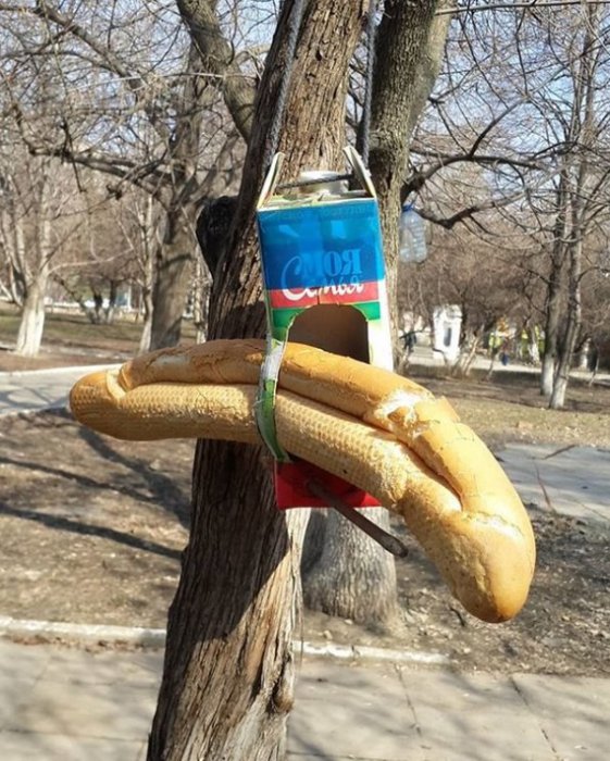 Забавные картинки