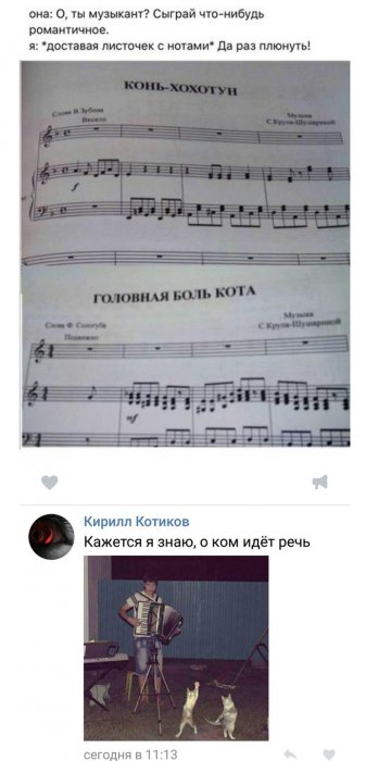 Забавные картинки
