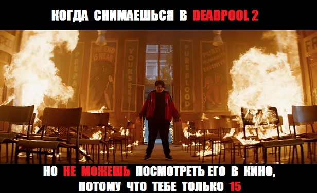 Забавные картинки