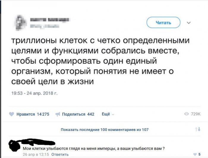 Забавные картинки