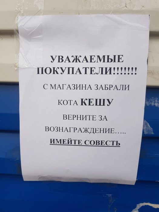 Девушки бывают разные