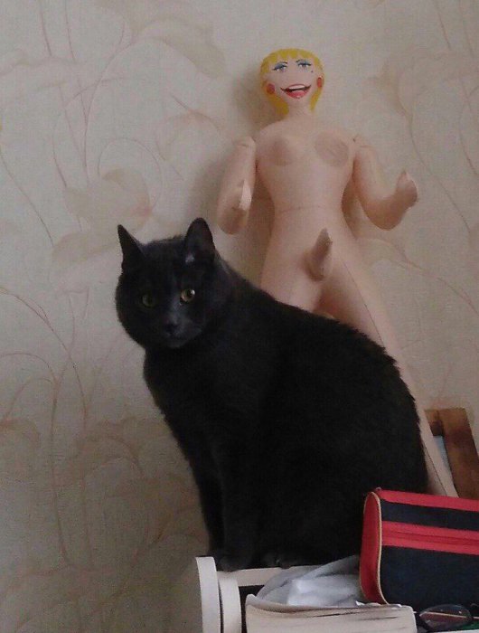 Забавные картинки