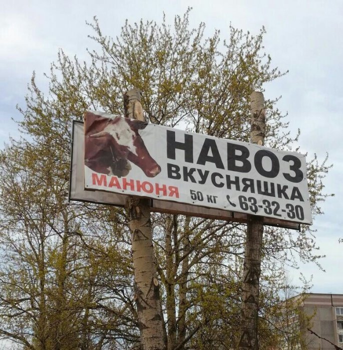 Забавные картинки