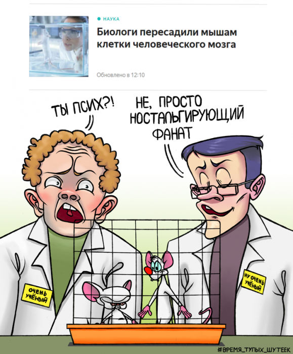 Забавные картинки