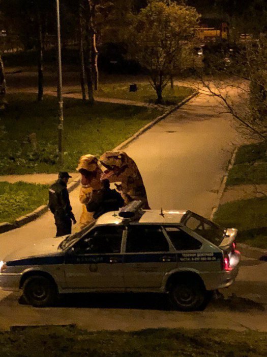 Забавные картинки