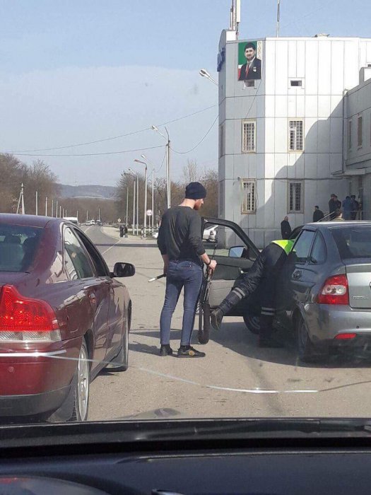 Забавные картинки