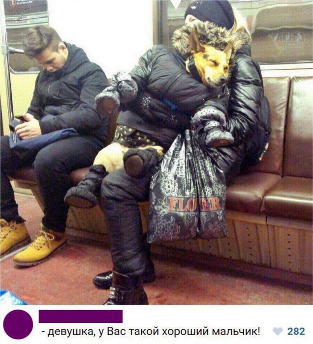 Забавные картинки