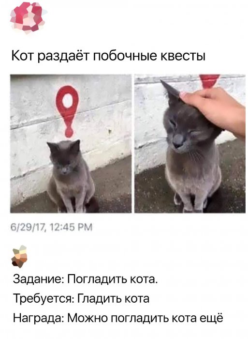 Забавные картинки