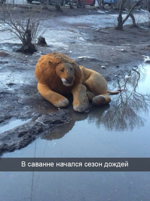 Забавные картинки