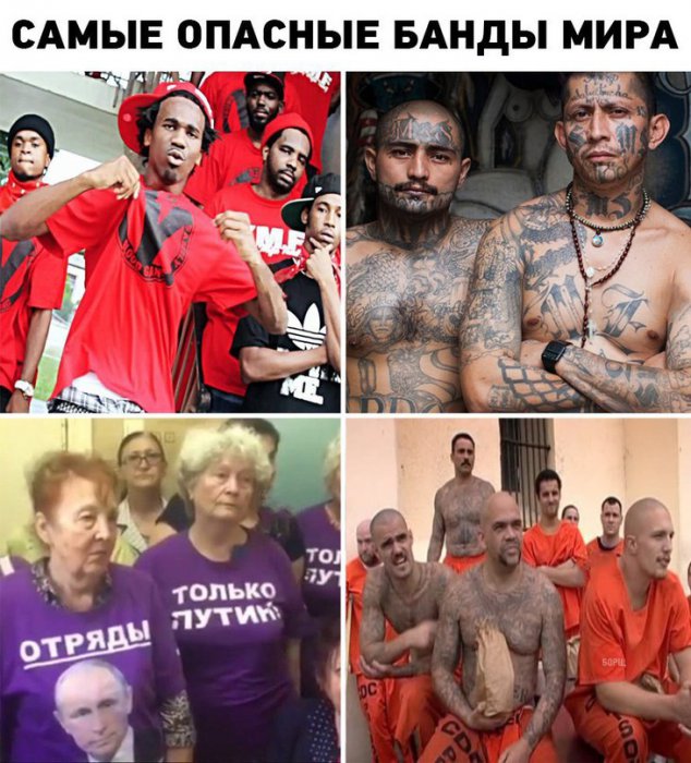Забавные картинки