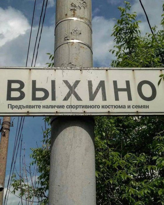 Забавные картинки