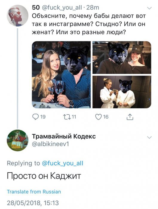 Забавные картинки