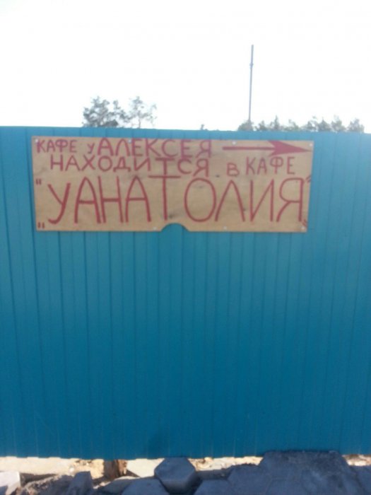 Забавные картинки