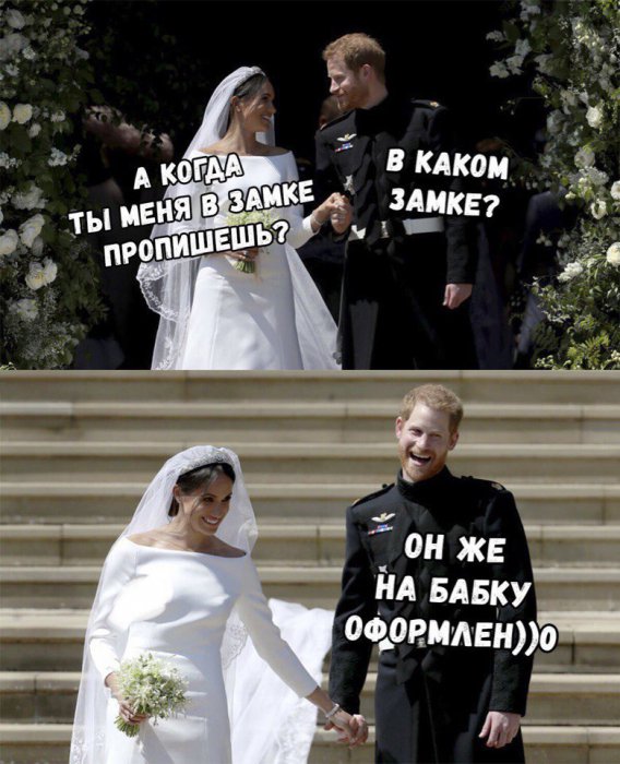 Забавные картинки