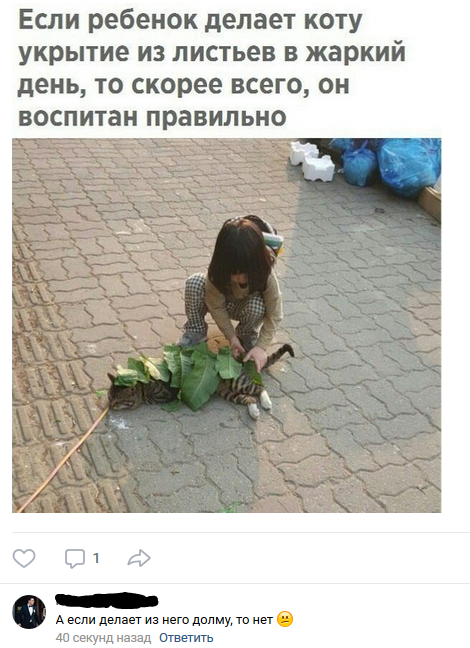 Забавные картинки
