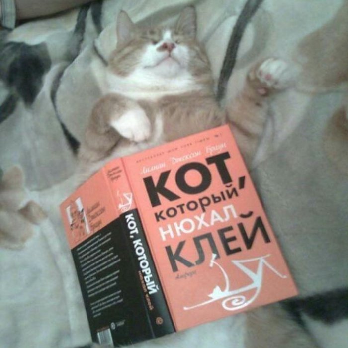 Забавные картинки