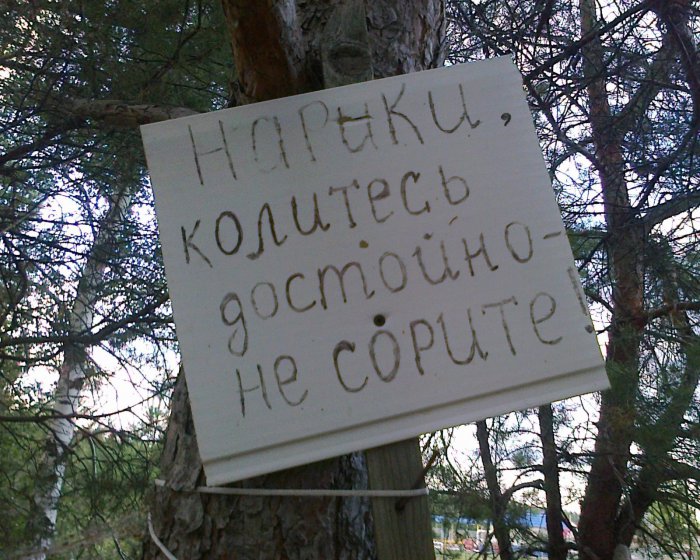 Забавные картинки