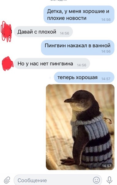 Забавные картинки