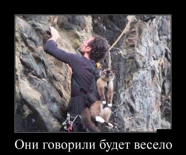 Демотиваторы