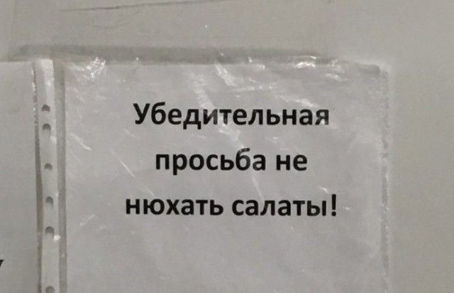Забавные объявления и надписи