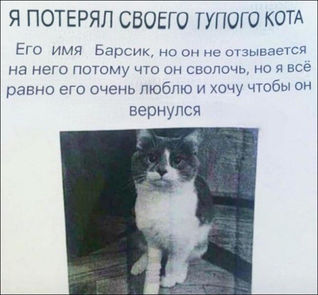 Забавные объявления и надписи