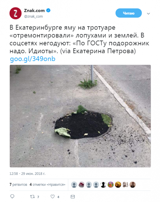 Забавные картинки