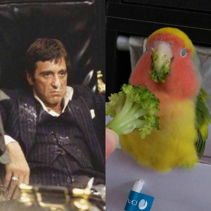Забавные картинки
