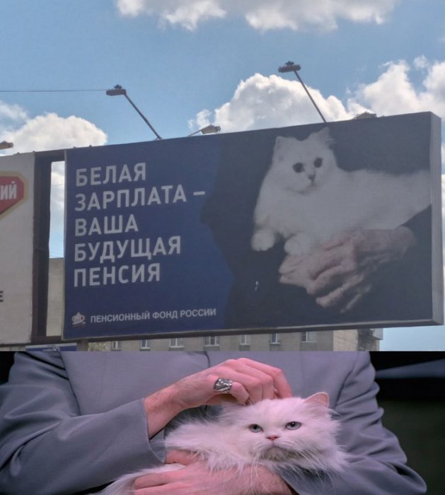 Забавные картинки