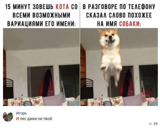 Забавные картинки