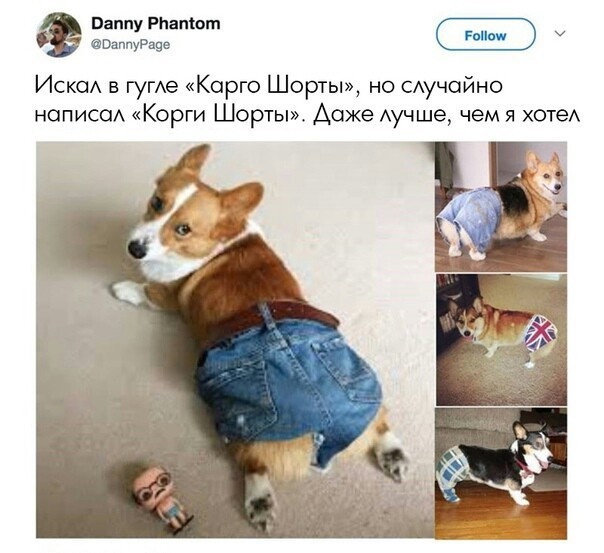 Забавные картинки