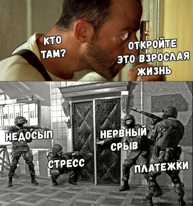 Забавные картинки