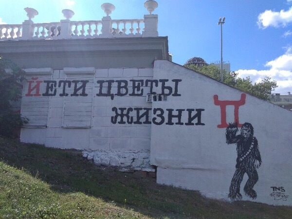 Забавные картинки