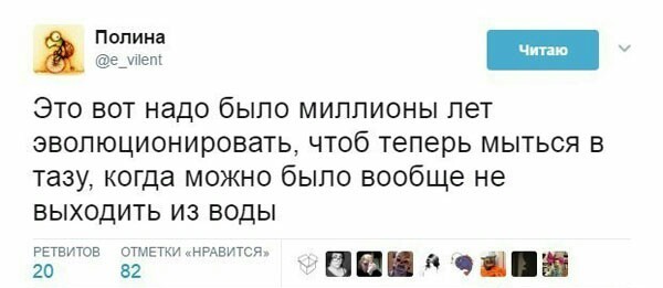 Забавные картинки