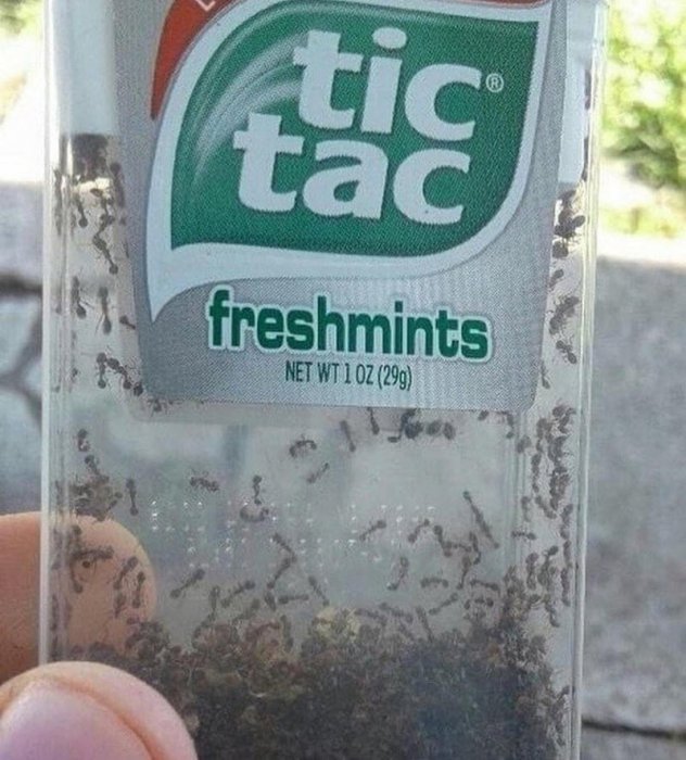 WTF: что тут происходит?