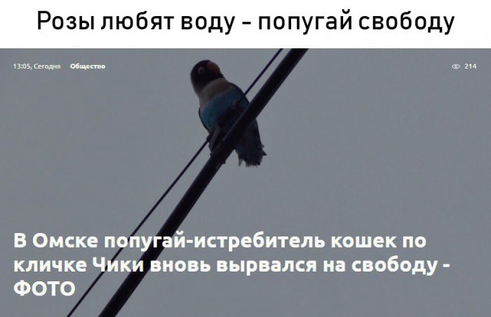 Забавные картинки