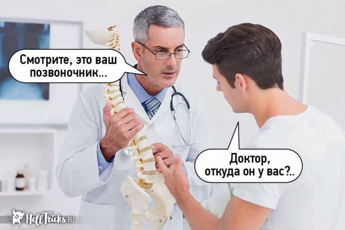 Забавные картинки