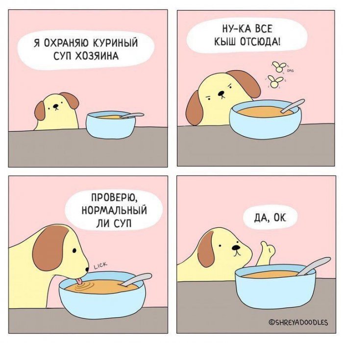Забавные картинки