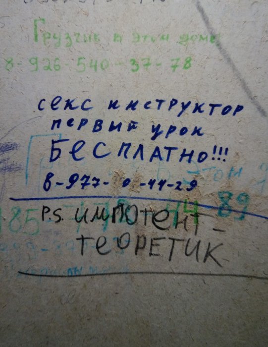Забавные картинки