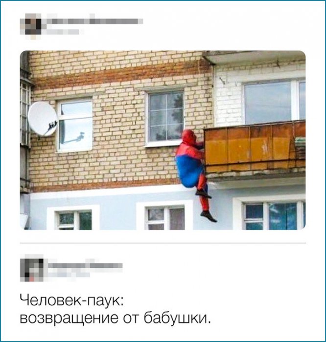 Забавные картинки