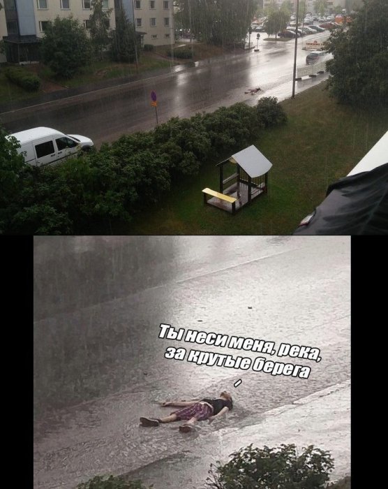 Забавные картинки