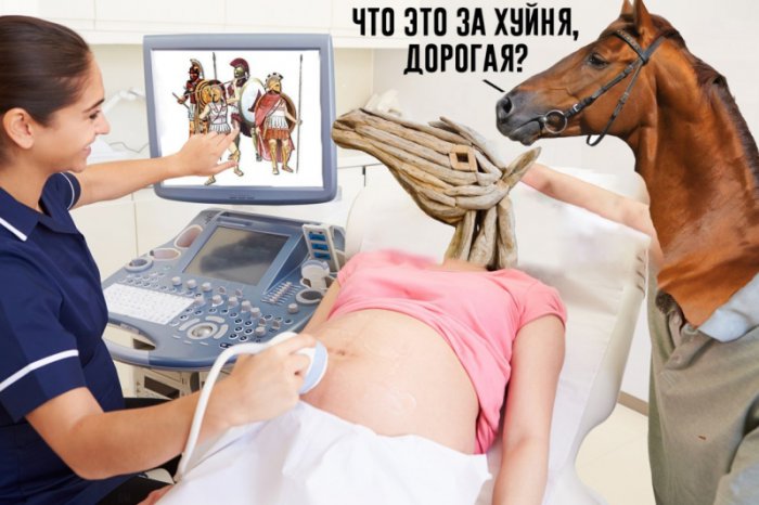 Забавные картинки