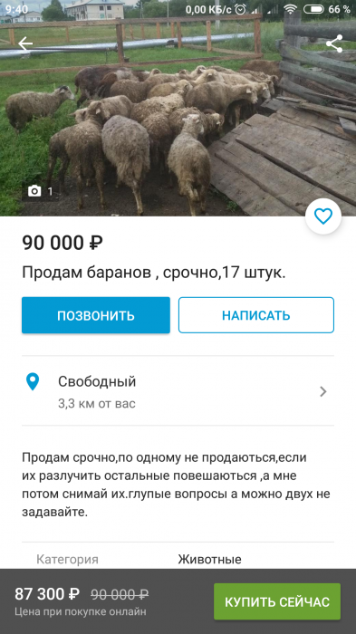 Забавные картинки
