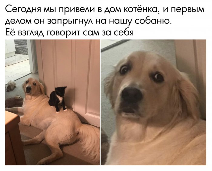 Забавные картинки