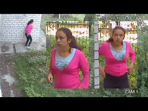 Жёлто-коричневый влог