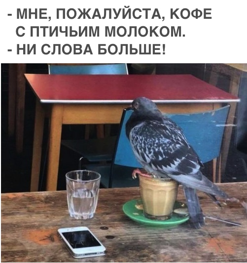 Забавные картинки