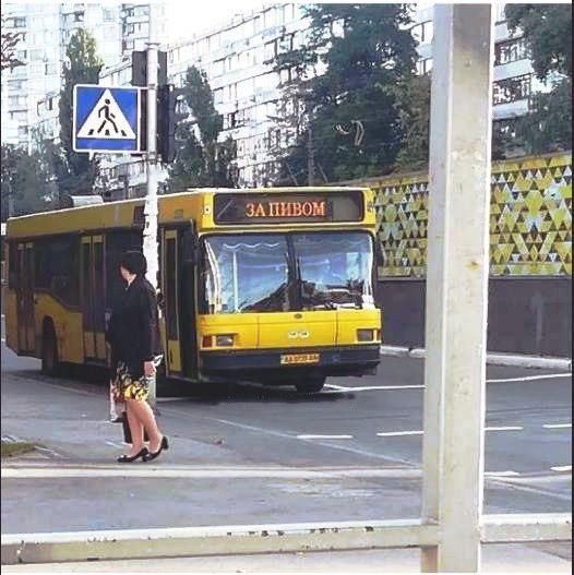 Забавные картинки