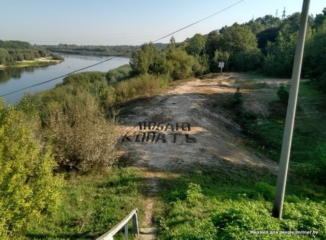 Забавные картинки